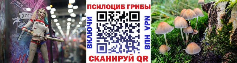 Галлюциногенные грибы GOLDEN TEACHER  Советская Гавань 